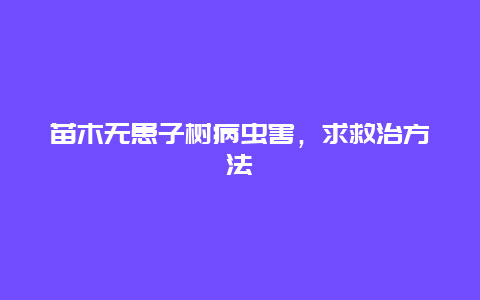 苗木无患子树病虫害，求救治方法