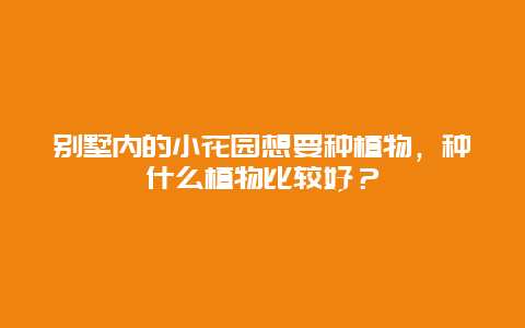 别墅内的小花园想要种植物，种什么植物比较好？