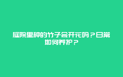 庭院里种的竹子会开花吗？日常如何养护？