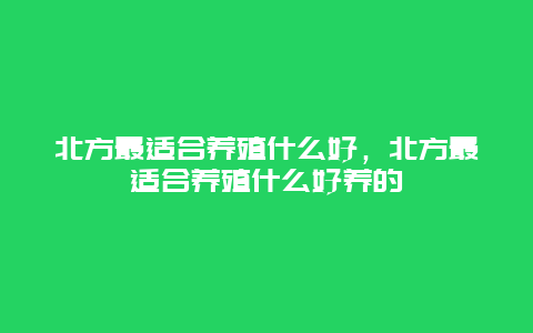 北方最适合养殖什么好，北方最适合养殖什么好养的