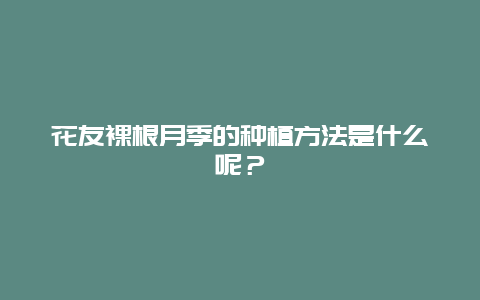 花友裸根月季的种植方法是什么呢？