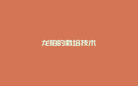 龙柏的栽培技术