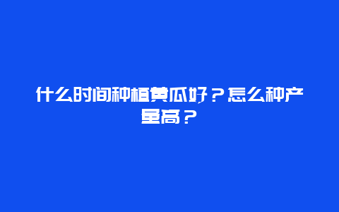 什么时间种植黄瓜好？怎么种产量高？