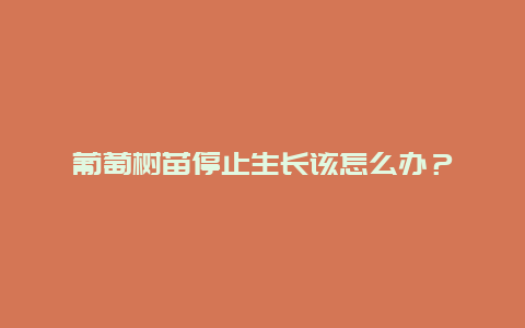 葡萄树苗停止生长该怎么办？