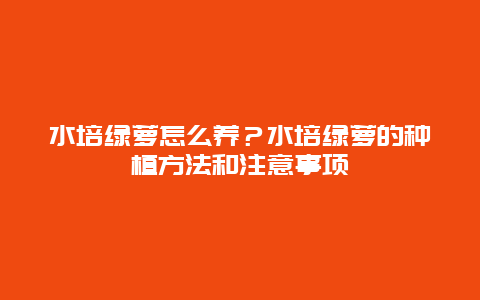 水培绿萝怎么养？水培绿萝的种植方法和注意事项