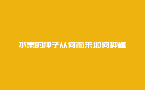 水果的种子从何而来如何种植