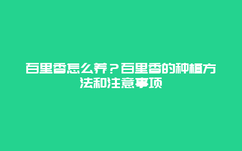 百里香怎么养？百里香的种植方法和注意事项