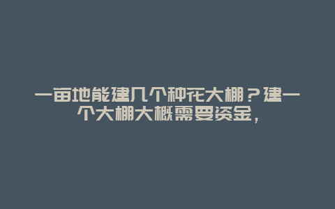 一亩地能建几个种花大棚？建一个大棚大概需要资金，