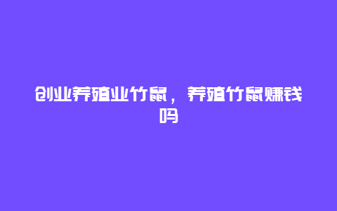 创业养殖业竹鼠，养殖竹鼠赚钱吗