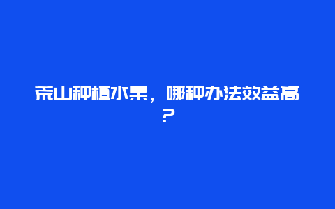 荒山种植水果，哪种办法效益高？