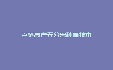 芦笋高产无公害种植技术