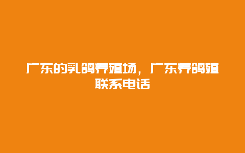 广东的乳鸽养殖场，广东养鸽殖联系电话