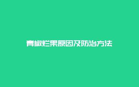 青椒烂果原因及防治方法