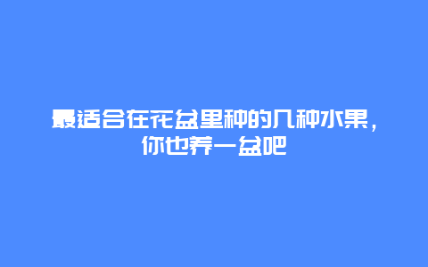 最适合在花盆里种的几种水果，你也养一盆吧