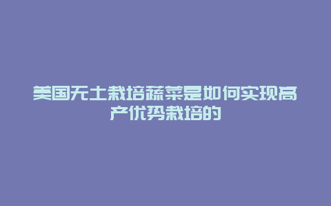 美国无土栽培蔬菜是如何实现高产优势栽培的