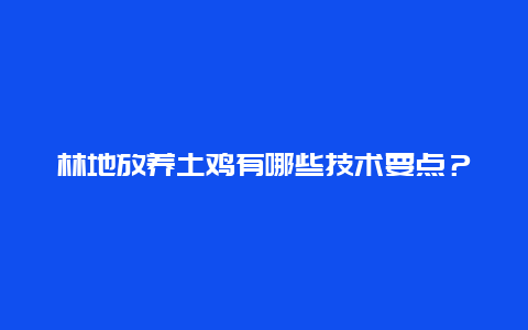 林地放养土鸡有哪些技术要点？