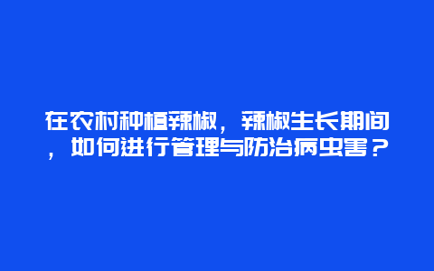 在农村种植辣椒，辣椒生长期间，如何进行管理与防治病虫害？