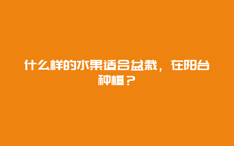 什么样的水果适合盆栽，在阳台种植？