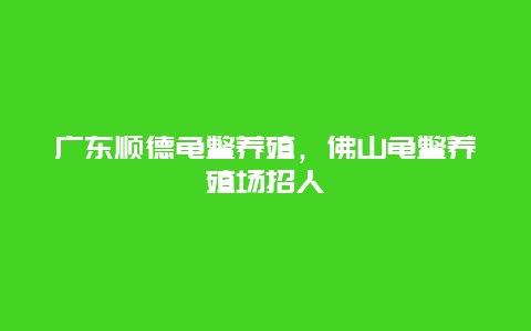 广东顺德龟鳖养殖，佛山龟鳖养殖场招人