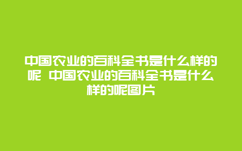 中国农业的百科全书是什么样的呢 中国农业的百科全书是什么样的呢图片