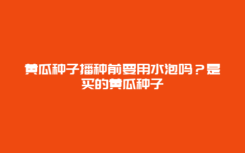 黄瓜种子播种前要用水泡吗？是买的黄瓜种子