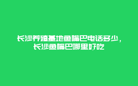 长沙养殖基地鱼嘴巴电话多少，长沙鱼嘴巴哪里好吃