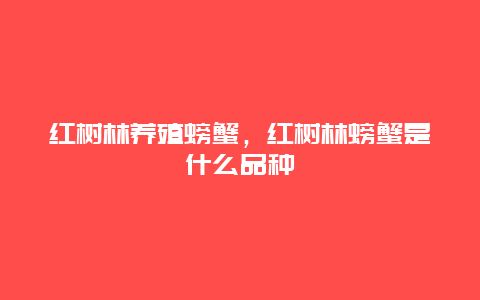 红树林养殖螃蟹，红树林螃蟹是什么品种