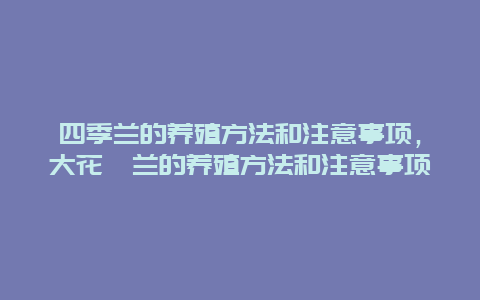 四季兰的养殖方法和注意事项，大花蕙兰的养殖方法和注意事项