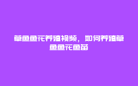 草鱼鱼花养殖视频，如何养殖草鱼鱼花鱼苗