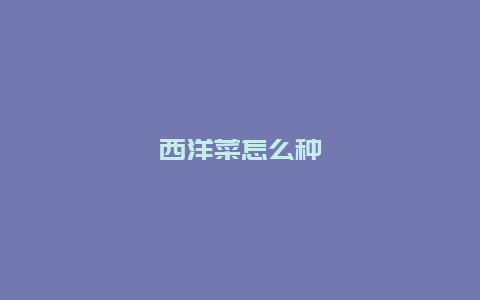 西洋菜怎么种