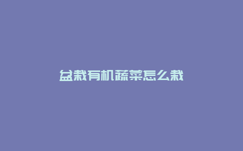 盆栽有机蔬菜怎么栽