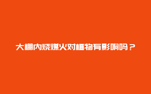 大棚内烧煤火对植物有影响吗？