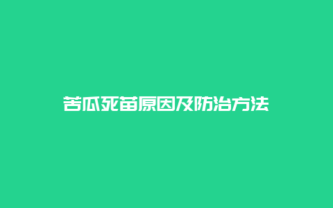 苦瓜死苗原因及防治方法