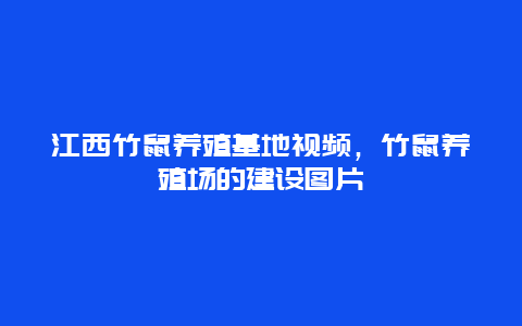 江西竹鼠养殖基地视频，竹鼠养殖场的建设图片