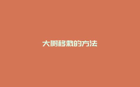 大树移栽的方法