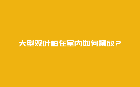 大型观叶植在室内如何摆放？