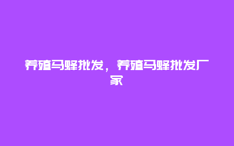 养殖马蜂批发，养殖马蜂批发厂家