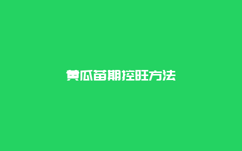 黄瓜苗期控旺方法