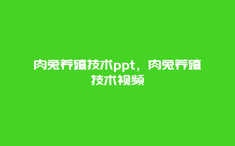 肉兔养殖技术ppt，肉兔养殖技术视频