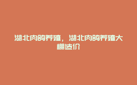 湖北肉鸽养殖，湖北肉鸽养殖大棚造价