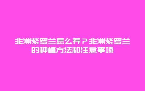 非洲紫罗兰怎么养？非洲紫罗兰的种植方法和注意事项