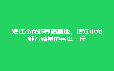 湛江小龙虾养殖基地，湛江小龙虾养殖基地多少一斤