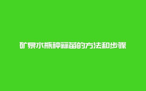 矿泉水瓶种蒜苗的方法和步骤