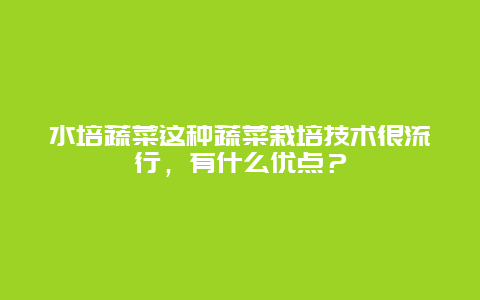 水培蔬菜这种蔬菜栽培技术很流行，有什么优点？