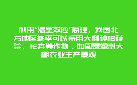 利用“温室效应”原理，我国北方地区冬季可以采用大棚种植蔬菜、花卉等作物．如图是塑料大棚农业生产景观