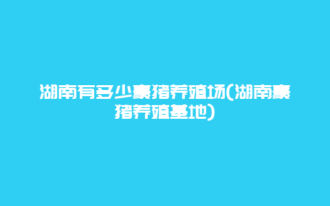 湖南有多少豪猪养殖场(湖南豪猪养殖基地)