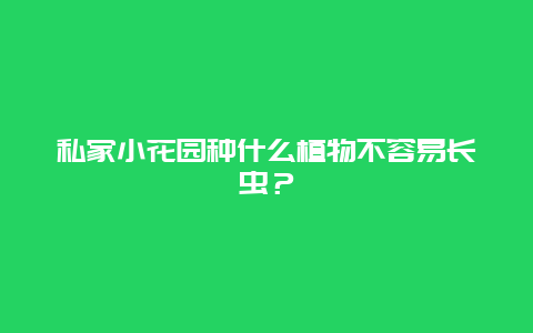 私家小花园种什么植物不容易长虫？