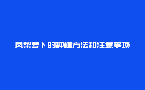 凤梨萝卜的种植方法和注意事项