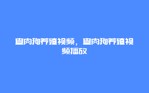 查肉狗养殖视频，查肉狗养殖视频播放