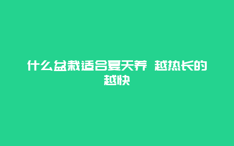 什么盆栽适合夏天养 越热长的越快